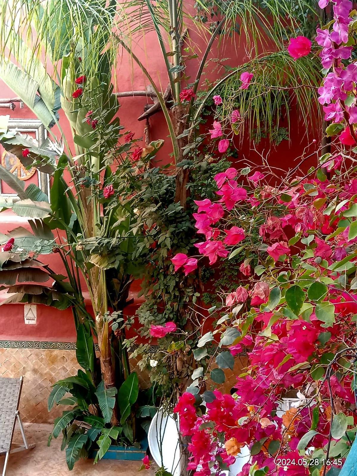 Maison Des Maitres Marrakesh Exterior photo