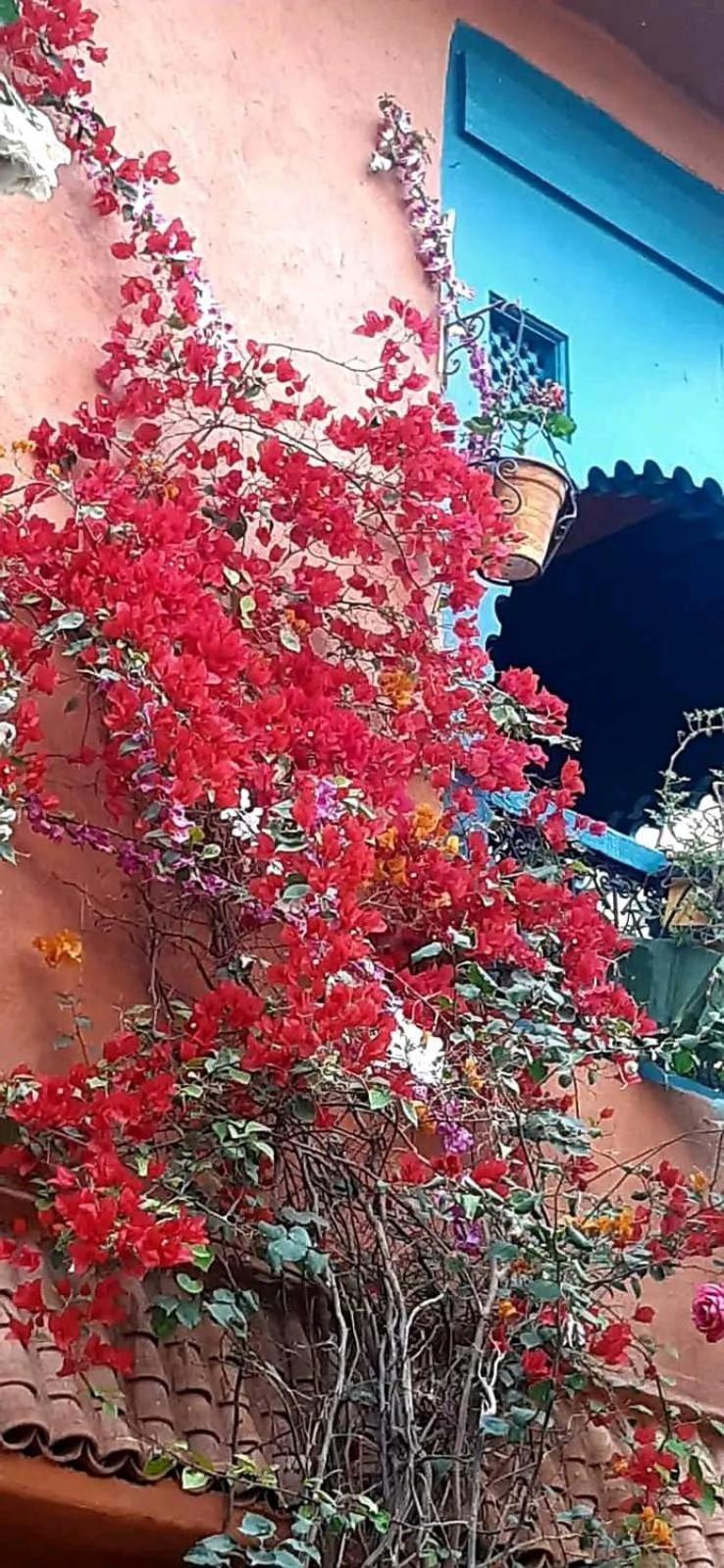 Maison Des Maitres Marrakesh Exterior photo